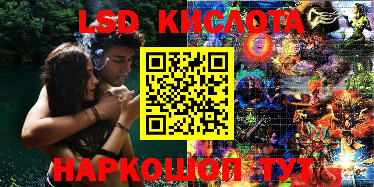 A-PVP Кудрово