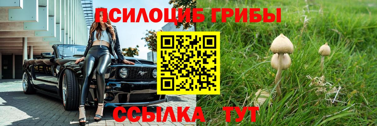 Галлюциногенные грибы мухоморы  Вход с VPN  Кудрово  Псилоцибиновые грибы GOLDEN TEACHER 
